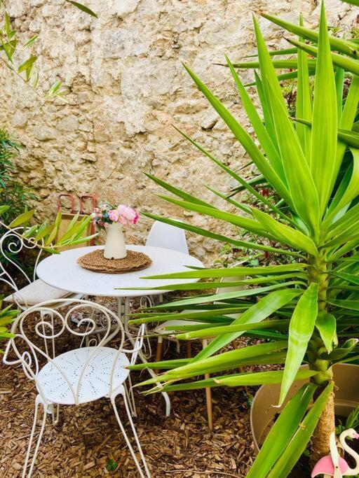 Havre De Paix Avec Jardin Et Clim En Centre Ville De Sete Bagian luar foto