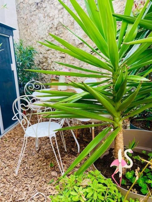 Havre De Paix Avec Jardin Et Clim En Centre Ville De Sete Bagian luar foto
