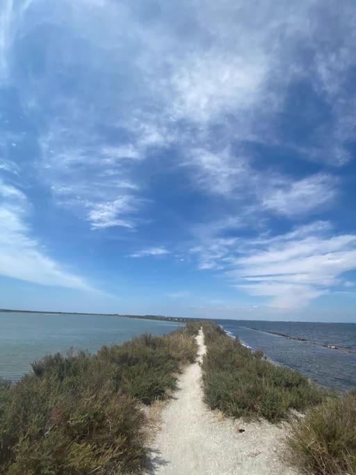 Havre De Paix Avec Jardin Et Clim En Centre Ville De Sete Bagian luar foto